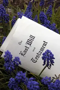 WILLS OR TRUSTS – WHICH WORKS FOR YOU?