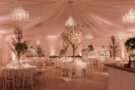 Luxury wedding reception