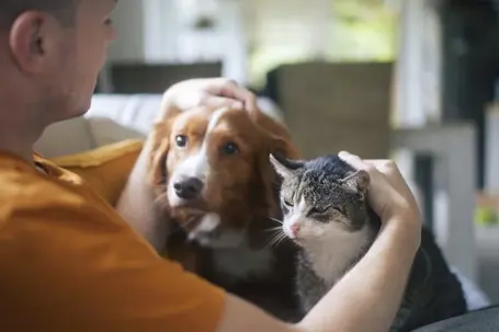 Man petting cat and dog